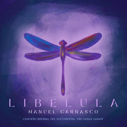 Libélula