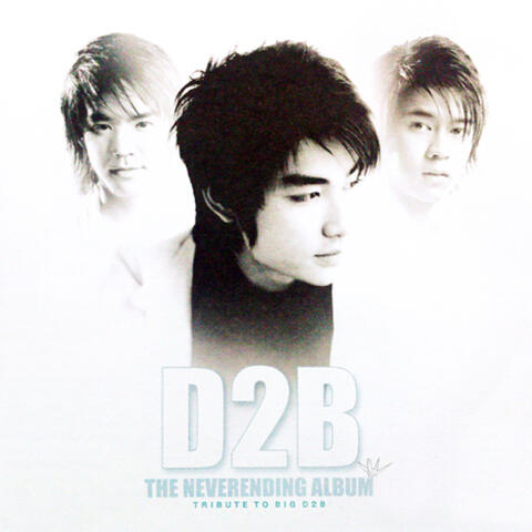 The Neverending Album