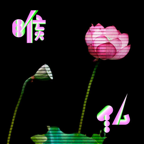 Nodobotoke