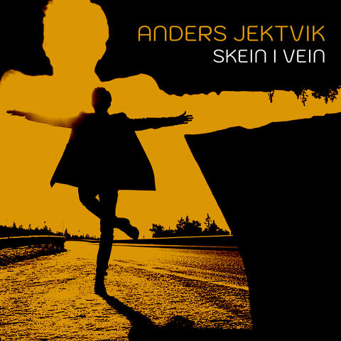 Skein i vein