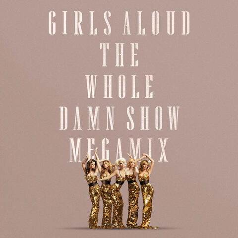 The Whole Damn Show Megamix