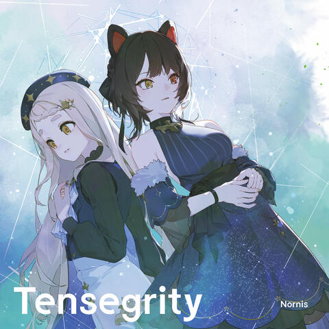 Tensegrity