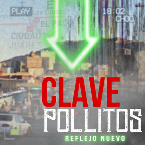 Clave Pollitos