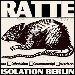 Ratte