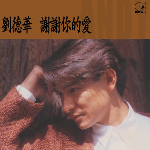 謝謝你的愛
