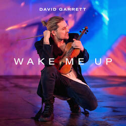 Wake Me Up