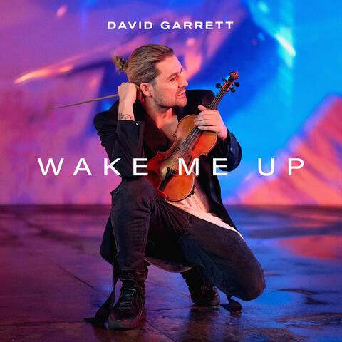 Wake Me Up