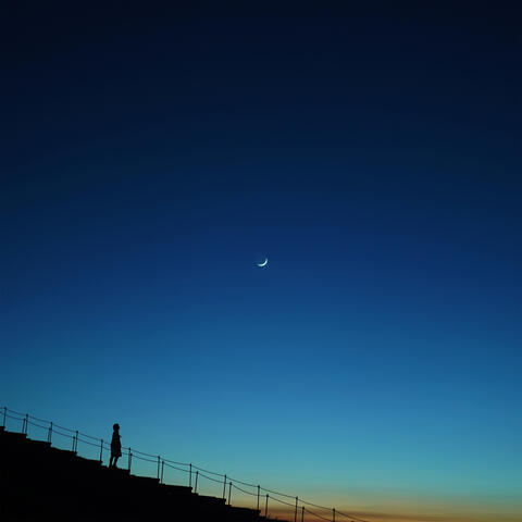 Stellar