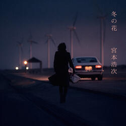Woman From "W No Higeki"