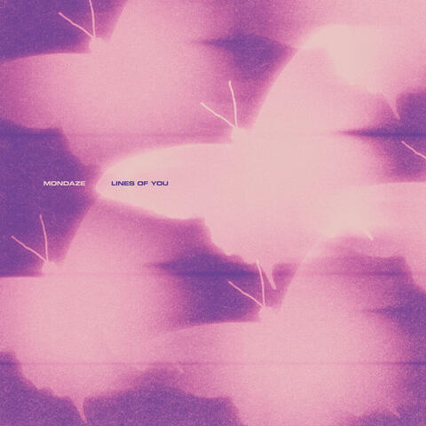 Lines of You