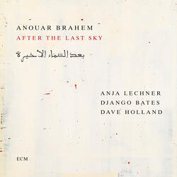 After the Last Sky
