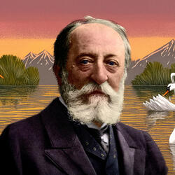 The Swan (The Carnival of the Animals)