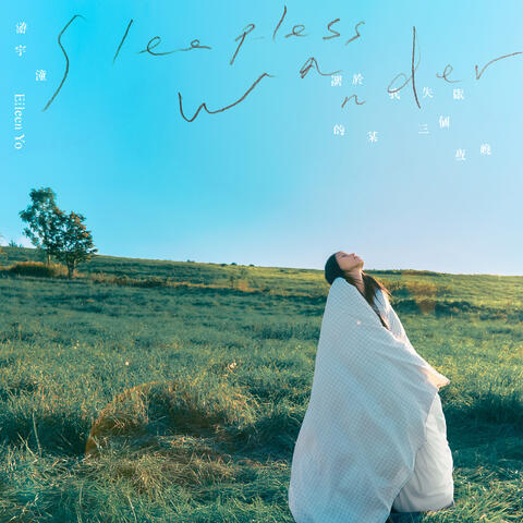 關於我失眠的某三個夜晚 Sleepless Wander