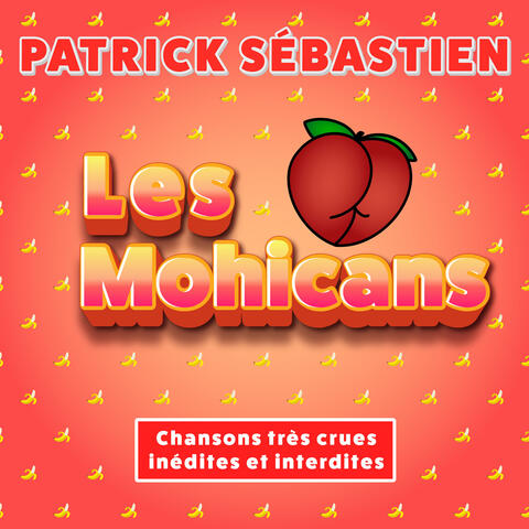 Les Mohicans