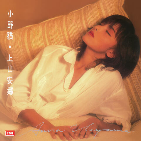小野貓