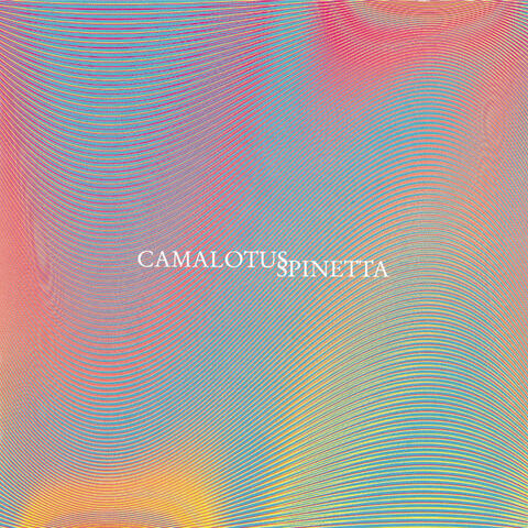 Camalotus