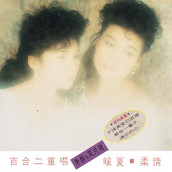Dai Yi Ke Liu Lang De Xin