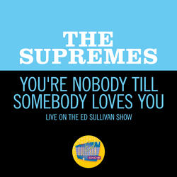 You're Nobody Till Somebody Loves You