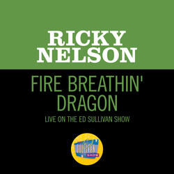 Fire Breathin' Dragon