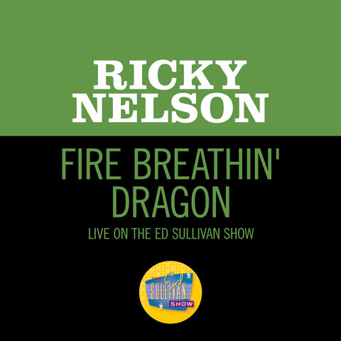 Fire Breathin' Dragon