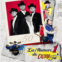 Tus Latidos