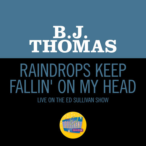 Raindrops Keep Fallin' On My Head