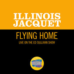 Flying Home