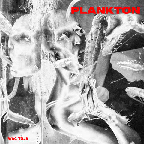 PLANKTON