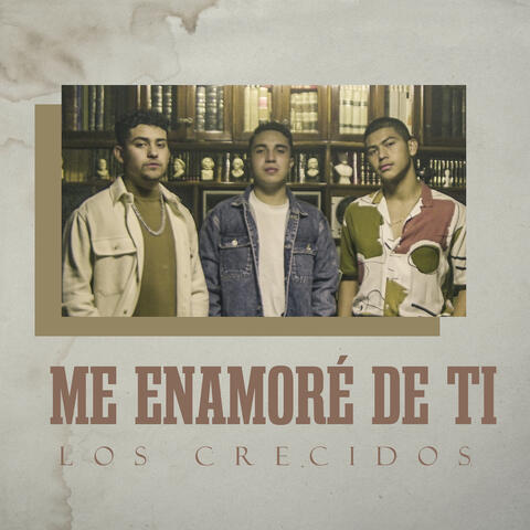 Me Enamoré De Ti