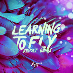 Learning To Fly