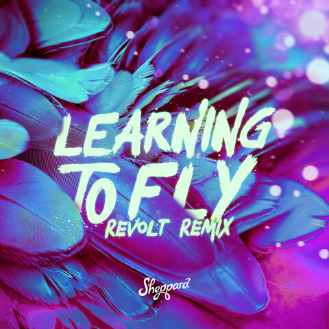 Learning To Fly