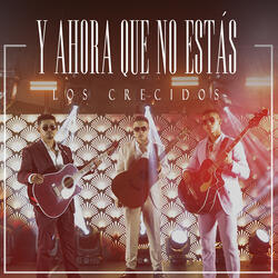 Y Ahora Que No Estás