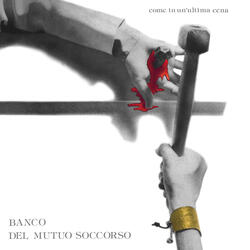 Si Dice Che I Delfini Parlino
