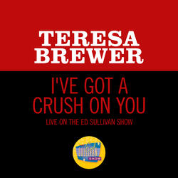 I've Got A Crush On You