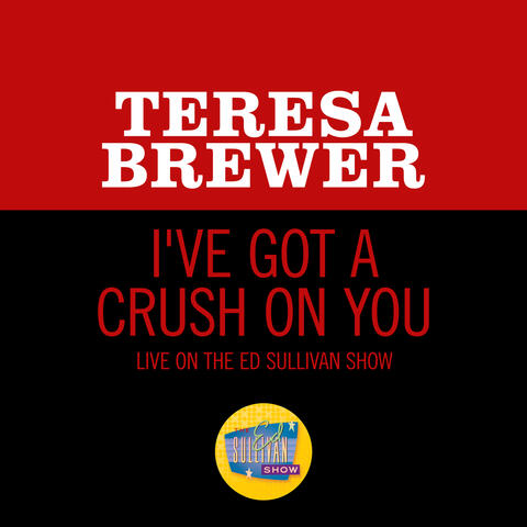 I've Got A Crush On You