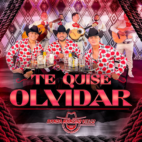 Te Quise Olvidar