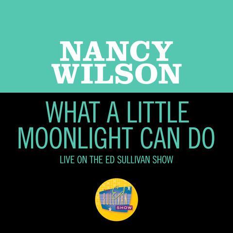 What A Little Moonlight Can Do