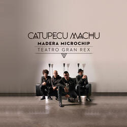 Intro Madera Microchip