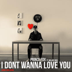 I Don't Wanna Love You