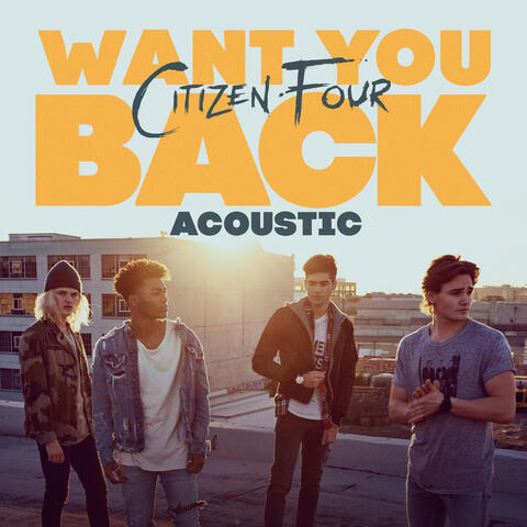 Want You Back