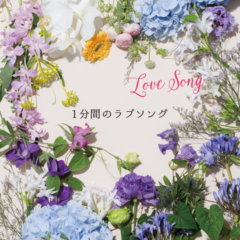 One Minutes Love Song