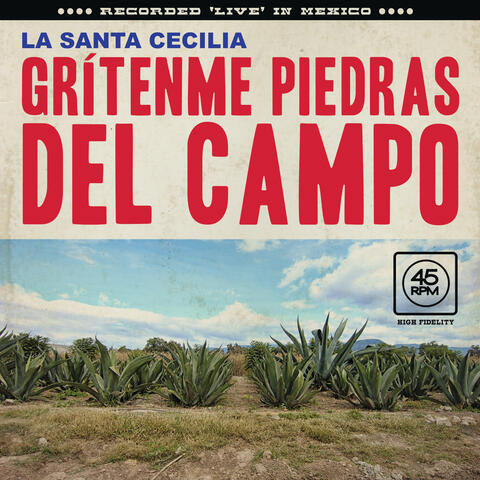 Grítenme Piedras Del Campo