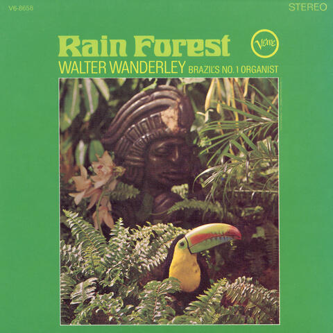 Rain Forest