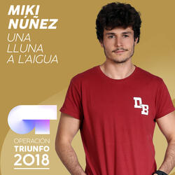 Una Lluna A L'Aigua