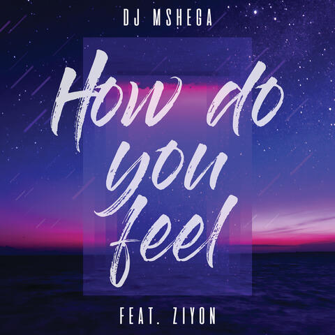 DJ Mshega & Ziyon