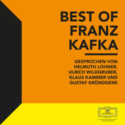 Kafka: Der Geier