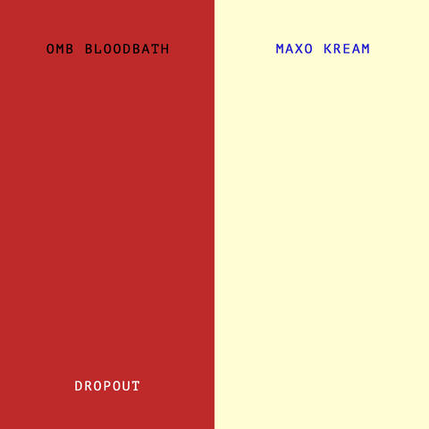 Dropout