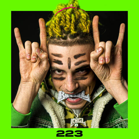 223
