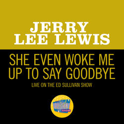 She Even Woke Me Up To Say Goodbye
