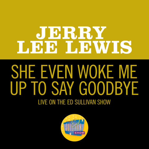 She Even Woke Me Up To Say Goodbye